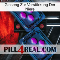 Ginseng Zur Verstärkung Der Niere 03